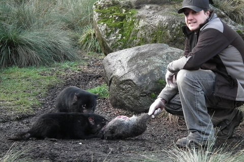 Sunset Experience - SA Accommodation 2