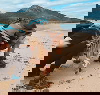 Freycinet Walking Tour - SA Accommodation
