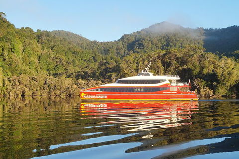 Afternoon Gordon River Dinner Cruise - Departing 3pm - SA Accommodation 1