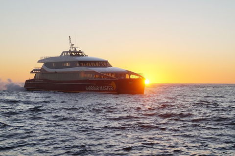 Afternoon Gordon River Dinner Cruise - Departing 3pm - SA Accommodation 0