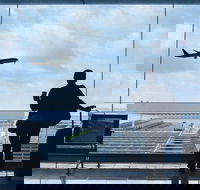 Private Transfer Avalon International Airport AVV to Melbourne - SA Accommodation
