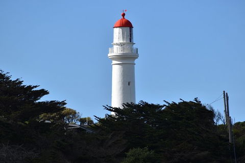 Great Ocean Road Tour Plus Koalas, Forest Walk And Morning Tea. - SA Accommodation 1