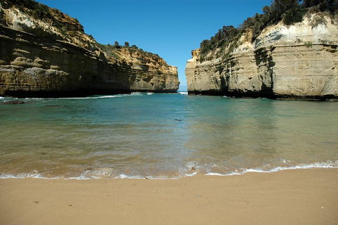 Great Ocean Road Tour Plus Koalas, Forest Walk And Morning Tea. - SA Accommodation 4