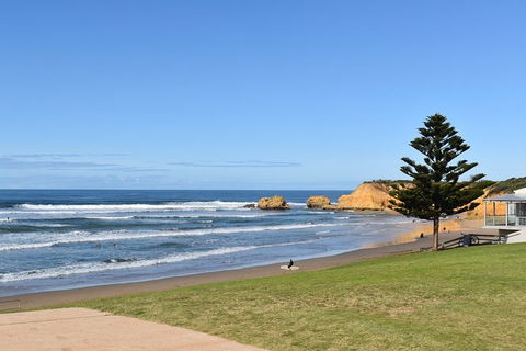 Great Ocean Road Tour Plus Koalas, Forest Walk And Morning Tea. - SA Accommodation 3