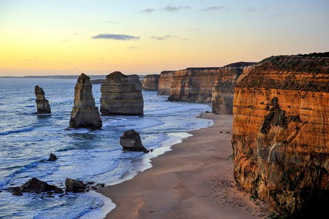 Great Ocean Road Tour Plus Koalas, Forest Walk And Morning Tea. - SA Accommodation 0