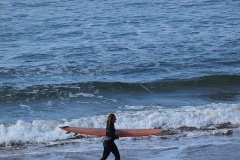 Great Ocean Road Tour Plus Koalas, Forest Walk And Morning Tea. - SA Accommodation 8