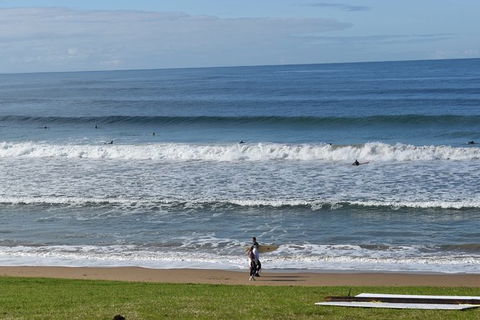 Great Ocean Road Tour Plus Koalas, Forest Walk And Morning Tea. - SA Accommodation 9