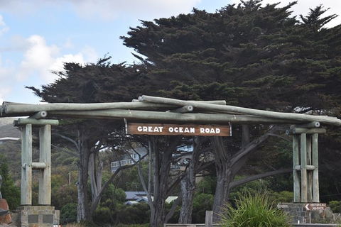 Great Ocean Road Tour Plus Koalas, Forest Walk And Morning Tea. - SA Accommodation 7