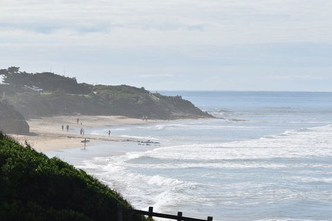 Great Ocean Road Tour Plus Koalas, Forest Walk And Morning Tea. - SA Accommodation 10