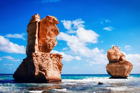 Great Ocean Road Tour Plus Koalas, Forest Walk And Morning Tea. - SA Accommodation 11