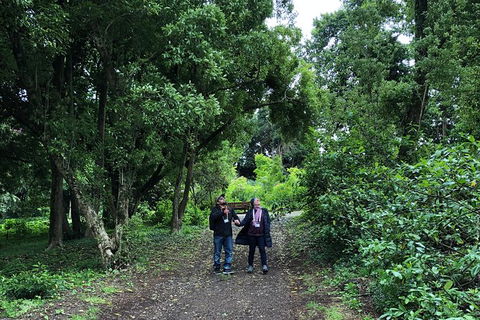 Alices Journeys Guided Walking Tours Of Daylesford - SA Accommodation 5