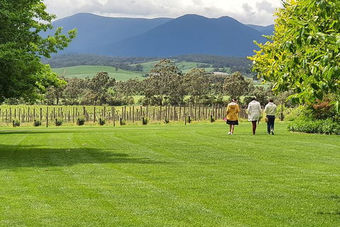 Yarra Valley Wine Tasting Day Tour From Melbourne - SA Accommodation 6