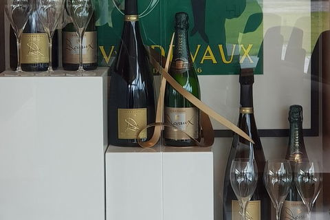 Yarra Valley Wine Tasting Day Tour From Melbourne - SA Accommodation 2