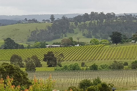Yarra Valley Wine Tasting Day Tour From Melbourne - SA Accommodation 0