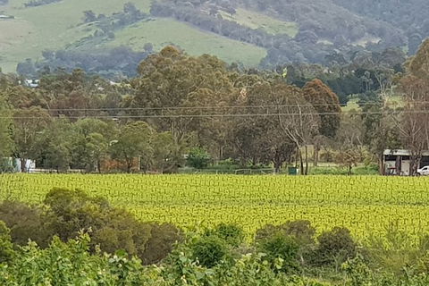 Day Tour Of Yarra Valley Puffing Billy And Rayners Orchard - SA Accommodation 44