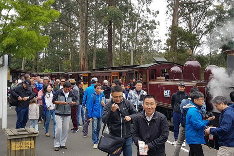Day Tour Of Yarra Valley Puffing Billy And Rayners Orchard - SA Accommodation 3