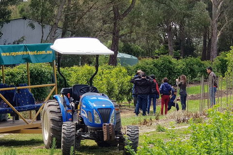 Day Tour Of Yarra Valley Puffing Billy And Rayners Orchard - SA Accommodation 10