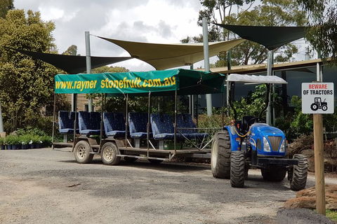 Day Tour Of Yarra Valley Puffing Billy And Rayners Orchard - SA Accommodation 17