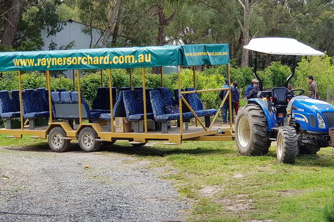 Day Tour Of Yarra Valley Puffing Billy And Rayners Orchard - SA Accommodation 48