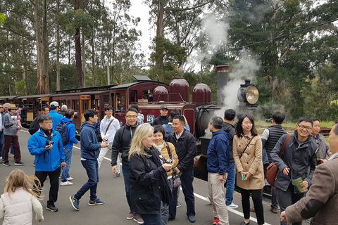 Day Tour Of Yarra Valley Puffing Billy And Rayners Orchard - SA Accommodation 18