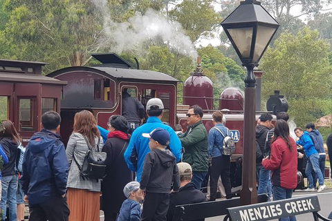 Day Tour Of Yarra Valley Puffing Billy And Rayners Orchard - SA Accommodation 40