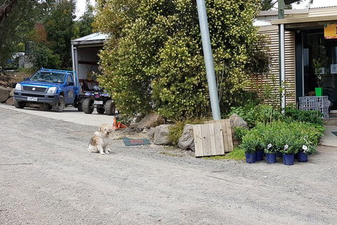 Day Tour Of Yarra Valley Puffing Billy And Rayners Orchard - SA Accommodation 6