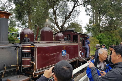 Day Tour Of Yarra Valley Puffing Billy And Rayners Orchard - SA Accommodation 28