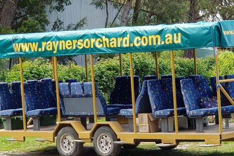 Day Tour Of Yarra Valley Puffing Billy And Rayners Orchard - SA Accommodation 33