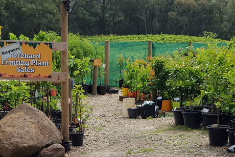 Day Tour Of Yarra Valley Puffing Billy And Rayners Orchard - SA Accommodation 22