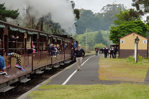 Day Tour Of Yarra Valley Puffing Billy And Rayners Orchard - SA Accommodation 0