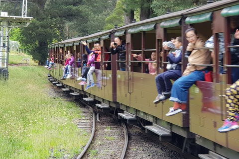 Day Tour Of Yarra Valley Puffing Billy And Rayners Orchard - SA Accommodation 13