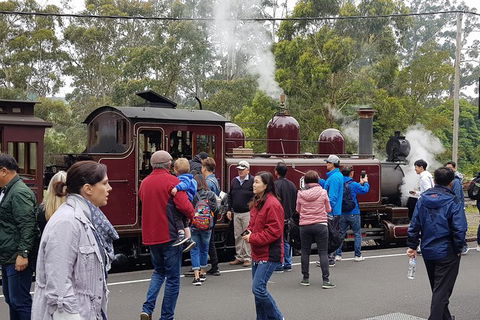 Day Tour Of Yarra Valley Puffing Billy And Rayners Orchard - SA Accommodation 4
