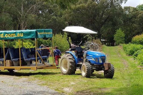 Day Tour Of Yarra Valley Puffing Billy And Rayners Orchard - SA Accommodation 25