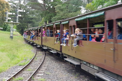 Day Tour Of Yarra Valley Puffing Billy And Rayners Orchard - SA Accommodation 24