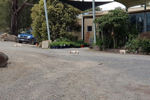 Day Tour Of Yarra Valley Puffing Billy And Rayners Orchard - SA Accommodation 26