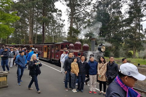 Day Tour Of Yarra Valley Puffing Billy And Rayners Orchard - SA Accommodation 9