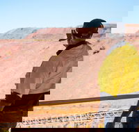 Purnululu Scenic with Argyle Diamond Mine Ground Tour - SA Accommodation