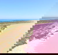 Pink Lake  Abrolhos Islands Scenic Flight - SA Accommodation
