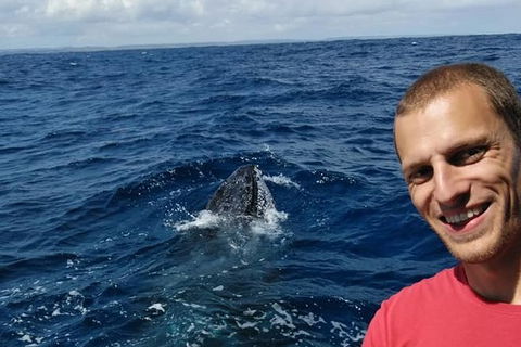 Whale Watching Boat Tour In Geraldton - SA Accommodation 2