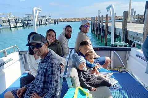 Whale Watching Boat Tour In Geraldton - SA Accommodation 1