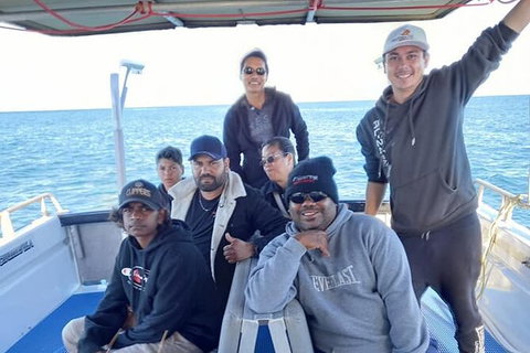 Abrolhos Islands Fishing Charter - SA Accommodation 3