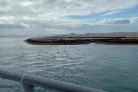 Abrolhos Islands Fishing Charter - SA Accommodation 6