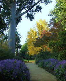 Albury Botanic Garden - SA Accommodation 0