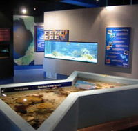 Marine and Freshwater Discovery Centre - SA Accommodation