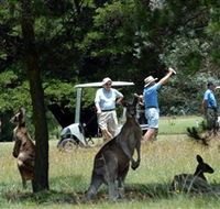 Glen Innes Golf Club - SA Accommodation
