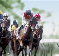 Colac Turf Club - SA Accommodation