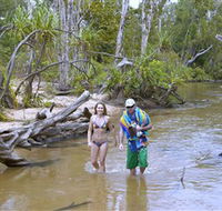 Tjuwaliyn / Douglas Hot Springs Park - SA Accommodation