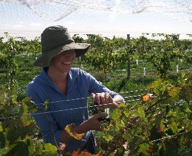 Kingsdale Wines - SA Accommodation 0