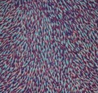 The Gate Gallery - Wollombi - SA Accommodation