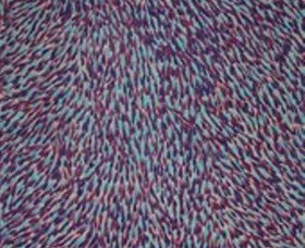 The Gate Gallery - Wollombi - SA Accommodation 0